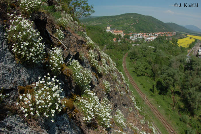 Detail obrázku